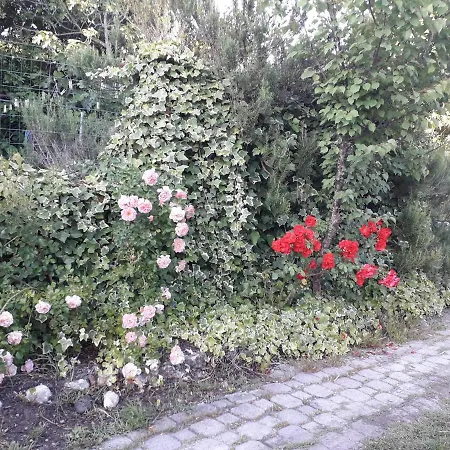 Bed & Breakfast Domo De Pedra 3*